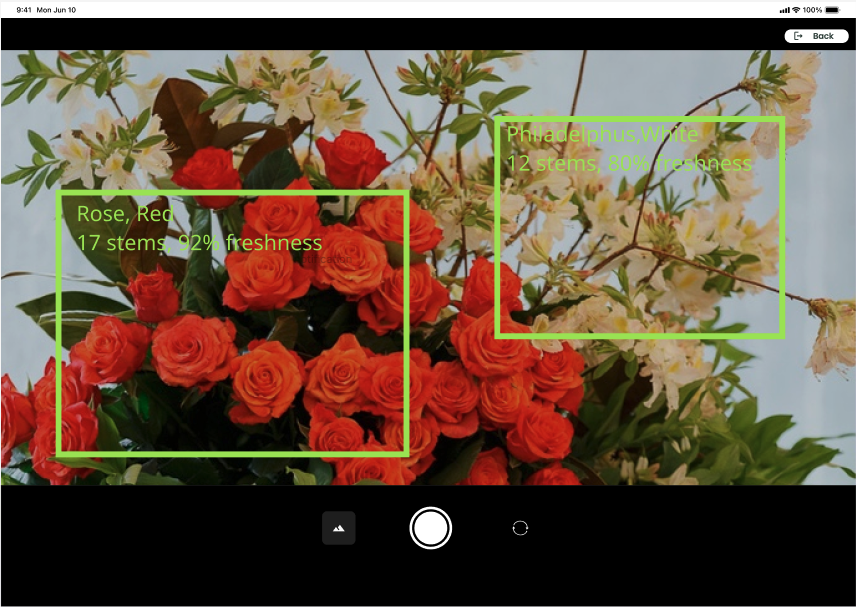 flower detection and tracking